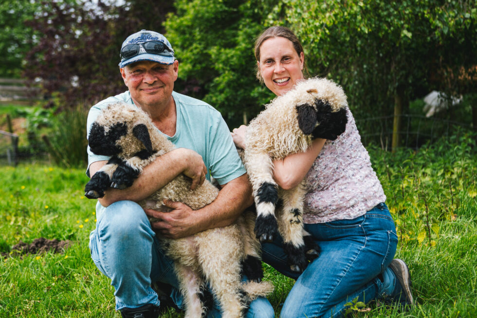Hylke en Sander met twee Walliser Schwarzsnase-schapen in de tuin